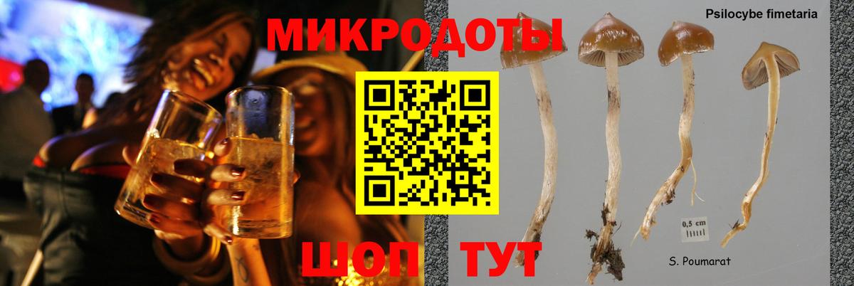Псилоцибиновые грибы Cubensis  Вход с VPN  Галлюциногенные грибы мицелий  Мирный 